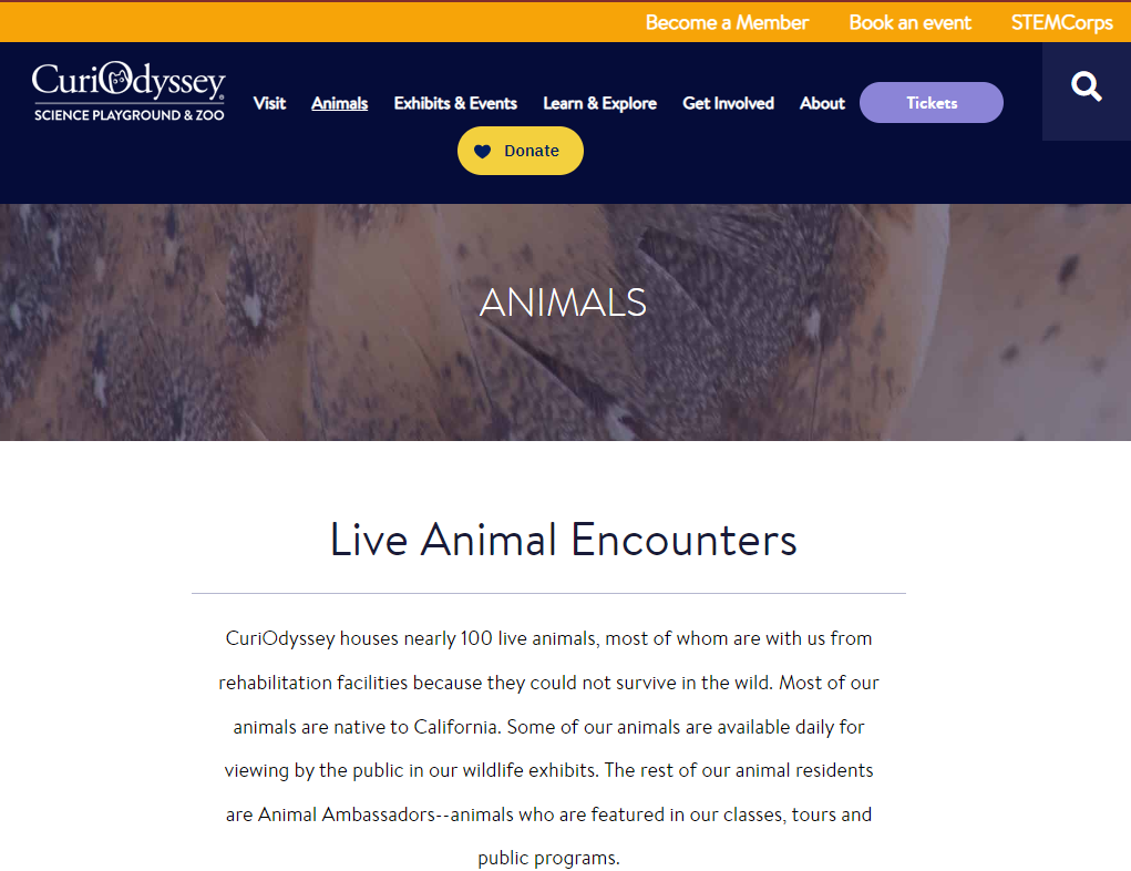 Curiodyssey animal homepage